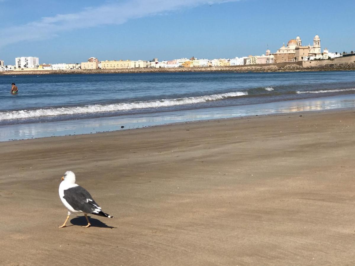 Molineros Victoria Beach Cadiz Luaran gambar